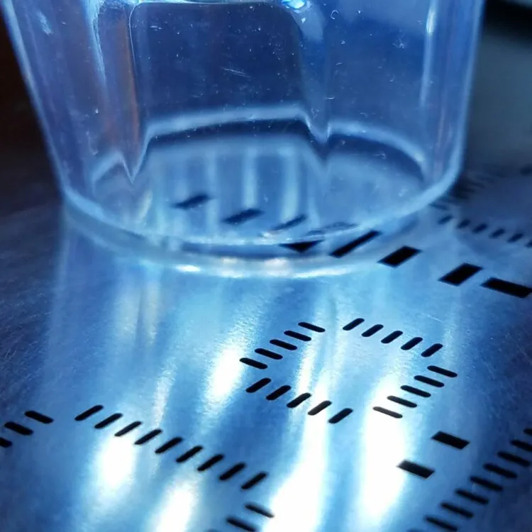 sustainability: a green plant