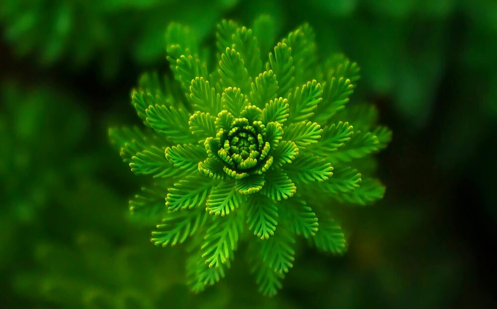 The Role of PCBs in Sustainable Electronics: How ScanCAD Is Powering a Greener Future