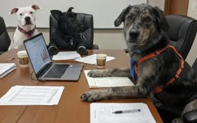 Meet the Real Bosses of ScanCAD: Oliver, Brava and Lemon